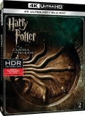 Harry Potter e la Camera dei Segreti (Blu-Ray 4K UltraHD + Blu-Ray)