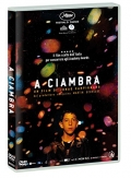 A ciambra