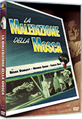 La maledizione della mosca