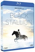 Black stallion (Blu-Ray)