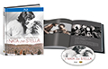 E' nata una stella (Digibook, Blu-Ray)