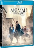 Animali fantastici e dove trovarli (Blu-Ray)