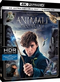 Animali fantastici e dove trovarli (Blu-Ray 4K UHD + Blu-Ray)