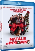 Natale all'improvviso (Blu-Ray)