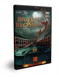 Big Fish e Begonia