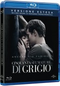 Cinquanta sfumature di grigio (Blu-Ray)