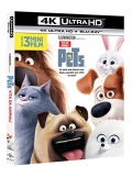 Pets: Vita da animali (Blu-Ray 4K UHD + Blu-Ray)