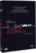 Il campo di cipolle