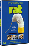 Rat