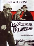 La notte dei pipistrelli