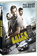 Brick mansions