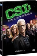 CSI - Crime Scene Investigation - Stagione 12