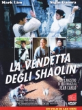 La vendetta degli Shaolin