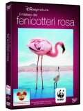 Il mistero dei fenicotteri rosa