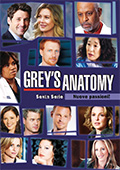 Grey's Anatomy - Stagione 6 (6 DVD)