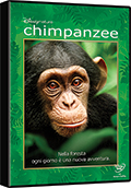 Chimpanzee