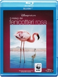 Il mistero dei fenicotteri rosa (Blu-Ray)