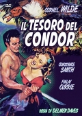 Il tesoro dei Condor