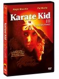 Karate Kid III - La sfida finale