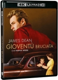 Giovent� bruciata (Blu-Ray 4K UHD + Blu-Ray)