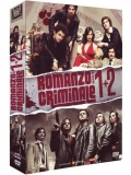 Romanzo Criminale - Stagioni 1-2 (8 DVD)