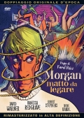 Morgan matto da legare