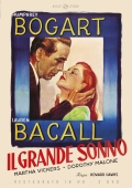 Il grande sonno (2 DVD)