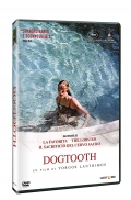 Dogtooth