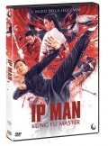 Ip Man - Kung fu master