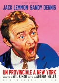Un provinciale a New York