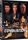 Combustion