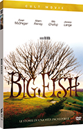 Big Fish - Le storie di una vita incredibile