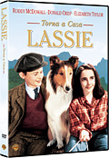 Torna a casa Lassie