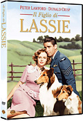 Il figlio di Lassie