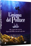 L'enigma del Polluce