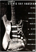 Tribute to Stevie Ray Vaughan