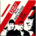 U2 - All Because of You (DVD Single)