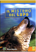 Il mistero del lupo