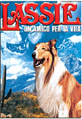 Lassie, un amico per la vita