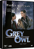 Grey owl