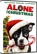 Alone for Christmas