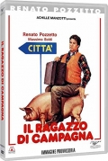 Il ragazzo di campagna