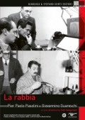 La rabbia