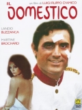 Il domestico