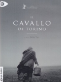 Il cavallo di Torino