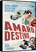 Amaro destino