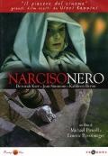 Narciso nero