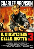 Il giustiziere della notte 3