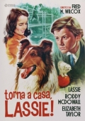 Torna a casa Lassie