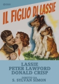 Il figlio di Lassie